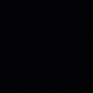 Meet your Posher, Reginald